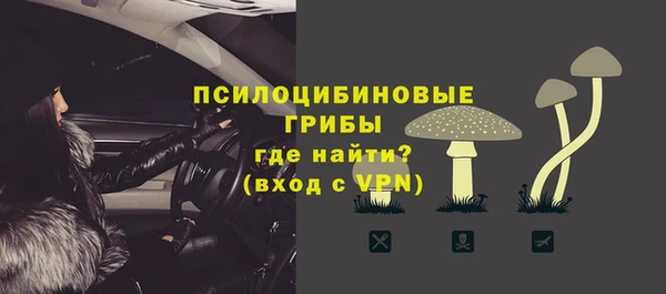 сатива Армянск