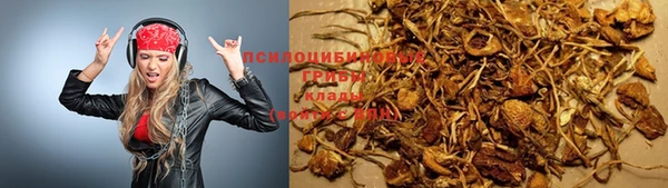 сатива Армянск